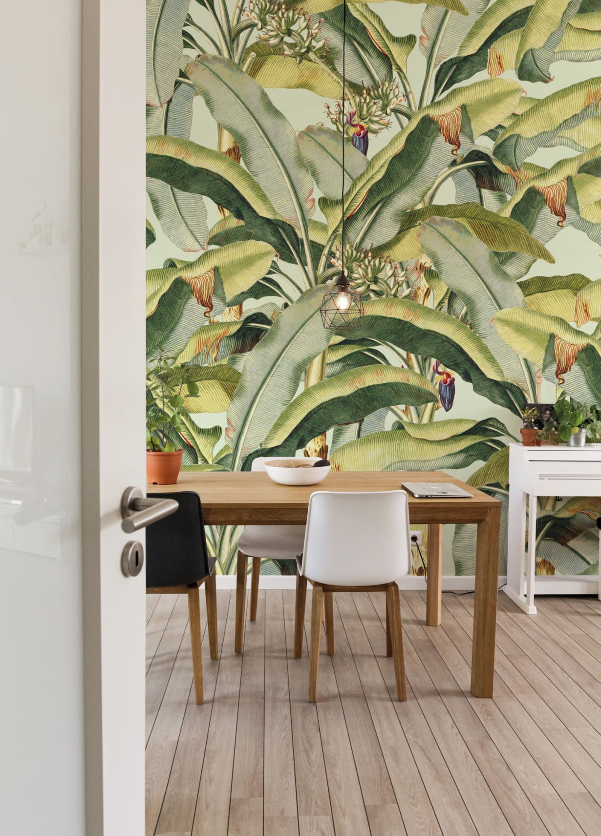 Фототапет "Banana Grove" 200x250