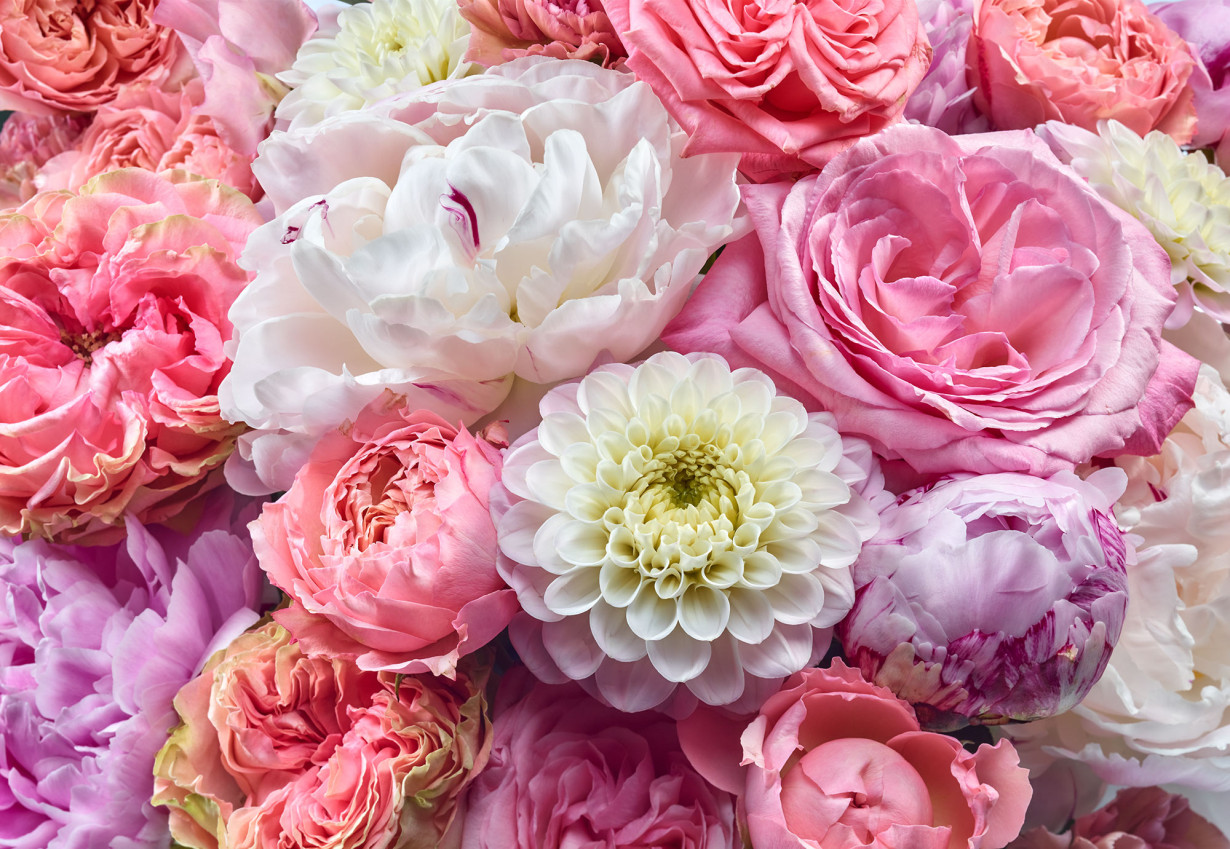 Фототапет "Vibrant Spring" 368x254 - Image 2