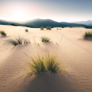Фототапет "Vivid Dunes"  450x280