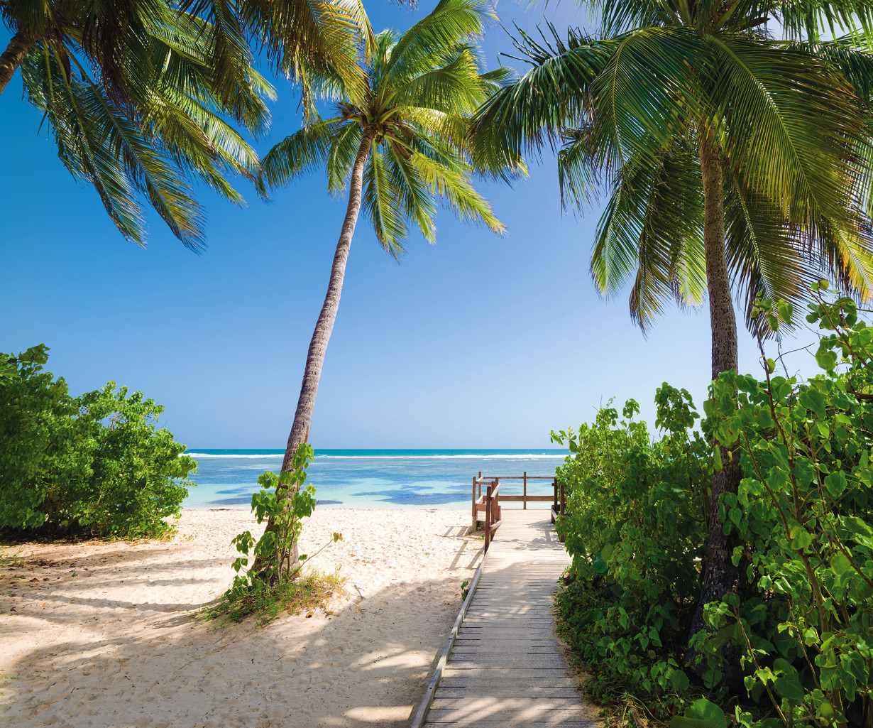 Фототапет "Palmy Beach" 300x250 - Image 2