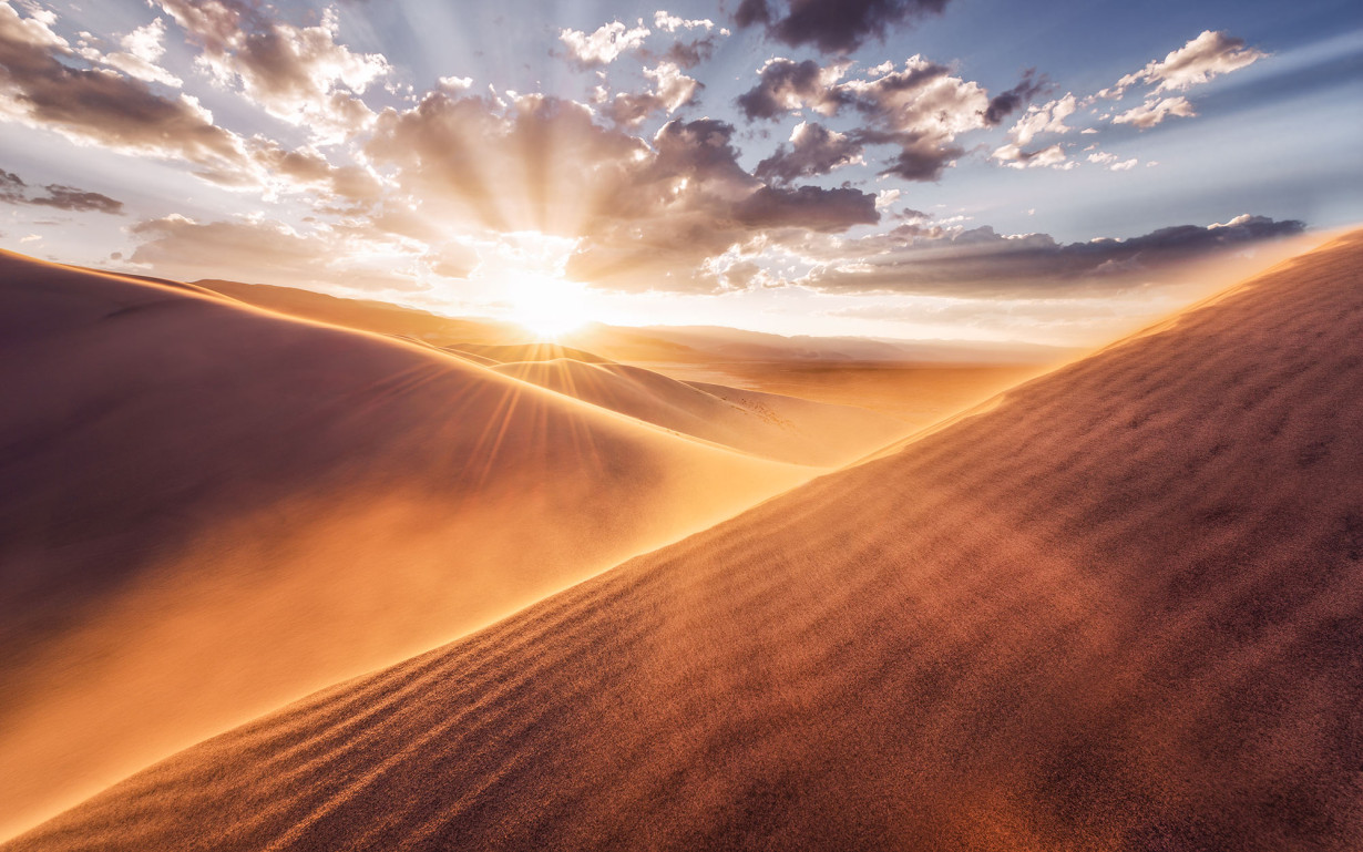 Фототапет "Gently Touched" 400x250 - Image 2