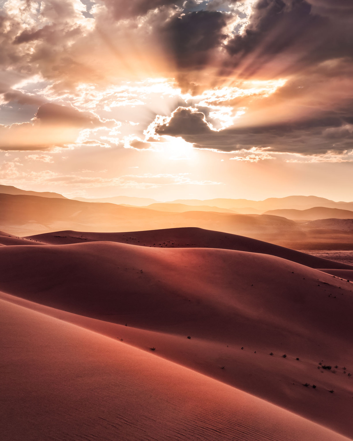 Фототапети "God Rays" 200x250 - Image 2