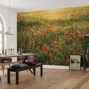 Фототапет "Poppy World I" 450x280