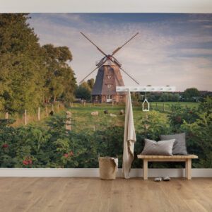 Фототапет "Tage wie Diese" 450x280