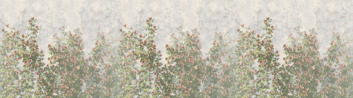 Фототапет "Wall Roses" 300x250 - Image 6